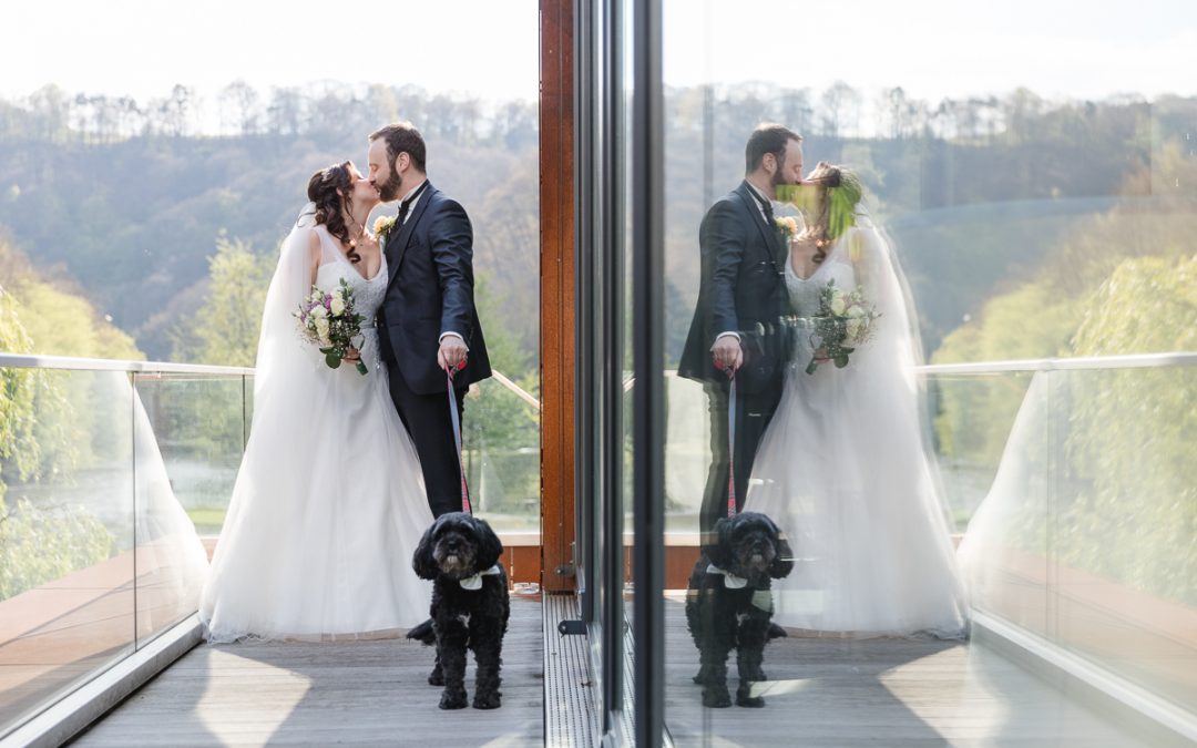 Hochzeitsfotos mit Eurem Hund